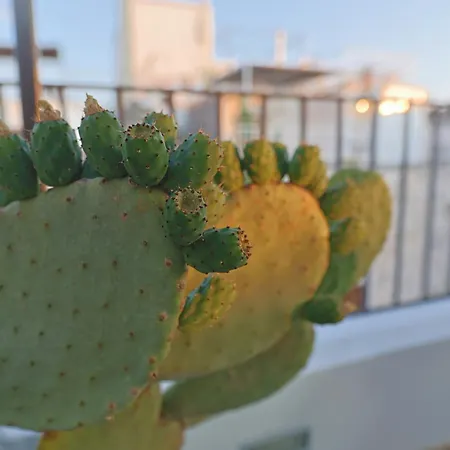 Apartament Torre Bianca Vista Mare Ostuni